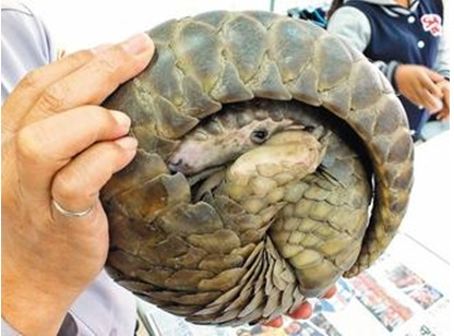 �̳~�ϒ��ҕ�K�è��a���_�l�\��N���@�e�t�d��