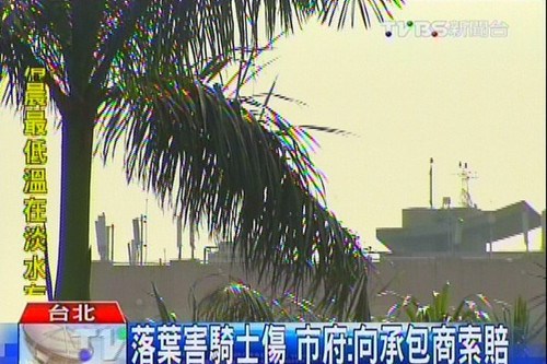 ����t�o��2.6����F���̵Ư{�L�o������ʐ�