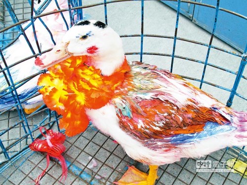 ���Wħ�����֓��N�L�J�ܡ������o���F�ِ��ʐ�