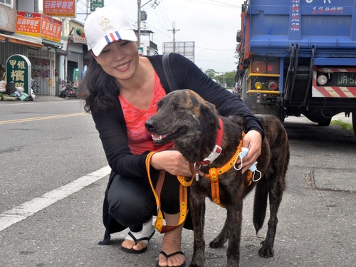 �\�J�N����10����h�˔I���ڳB��{���ʐ�