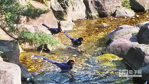 �哥�������}���N�a��ɲ��K���آ������ʐ�