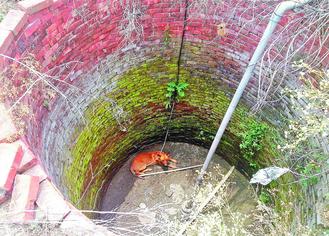 ��W�L�s���W�N�n���y���Hڧ����j���ʐ�