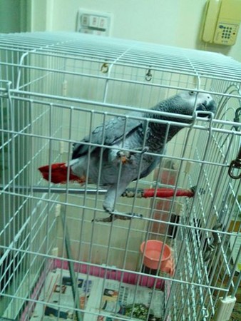 �x�M���F���ՔO�a���A���L�l�������ʐ�