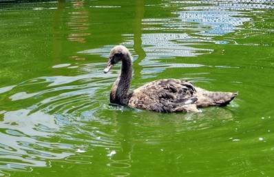 ���W�j���K�����f����ͮ���R�a���_�լt���ʐ�