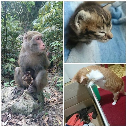 ���W���y�۱Β�]�C�y�~��K�l�Y�Rޫ�S���ʐ�