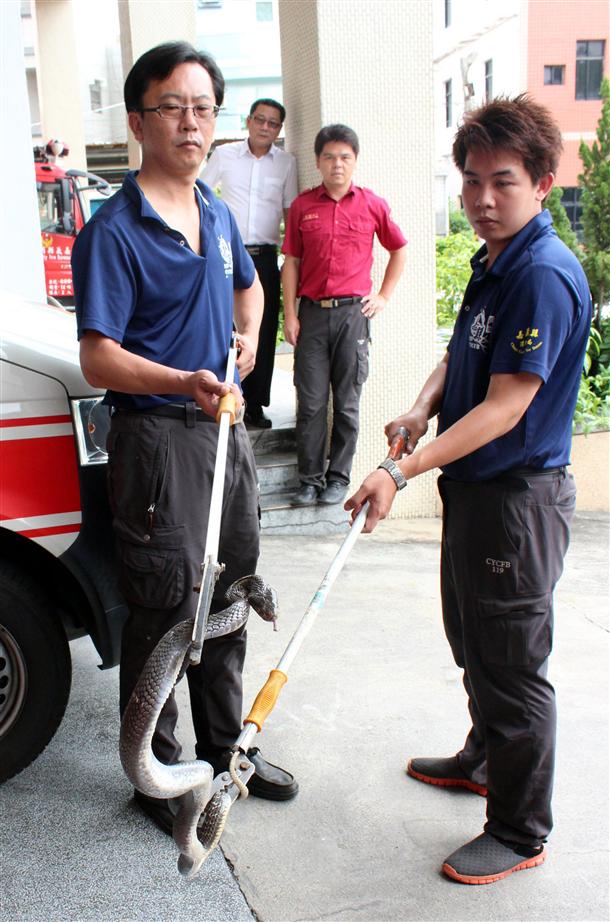 �������z�~�����P���u�޵{�A�ԓ|1�L����1�g�y�y����