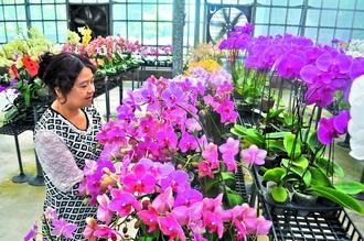 ���բf�J���^�L�W�����A�����y���ʐ�