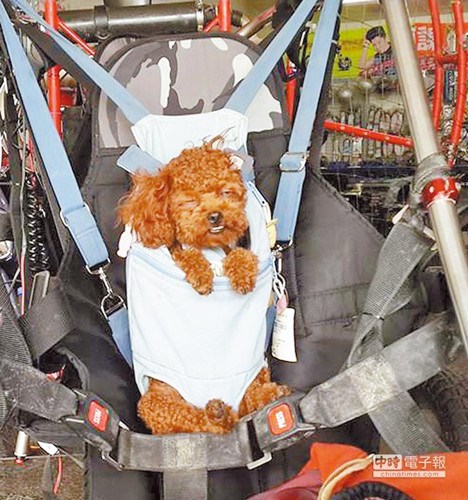 ���r���o�e�d���@���§��\�J�N���ڭ��