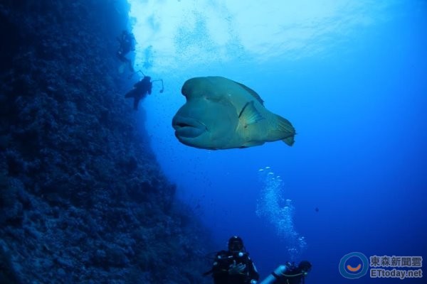 �m���Y�s�_�L�طR�o���I�~��������