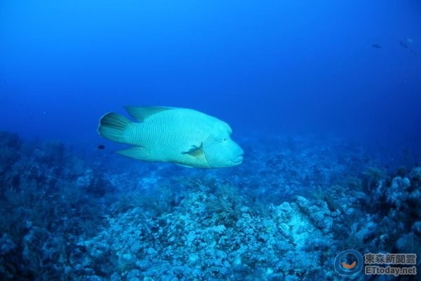 �m���Y�s�_�L�طR�o���I�~��������