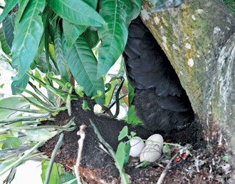 �������Ւ��̒ڥ��|����ѪѼK����ʐ�