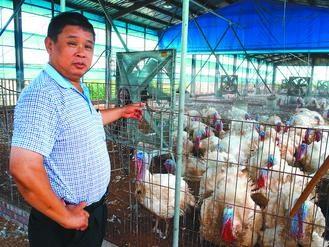 ���Wħ���w�W���त�Ϥ�ʶ}�|�^�������ʐ�