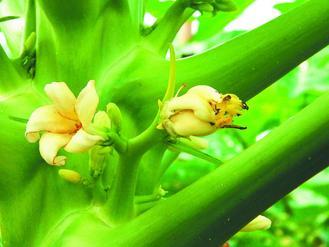 ���Wħ���w�W���त�� ��ʶ}�|�^����(��)