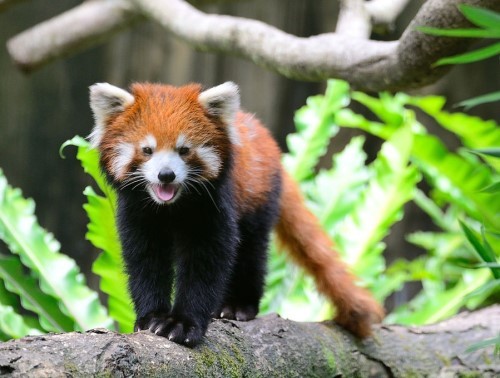 �Ŕb���]�w�w���W�G���ݕճB�L���p����l(��)