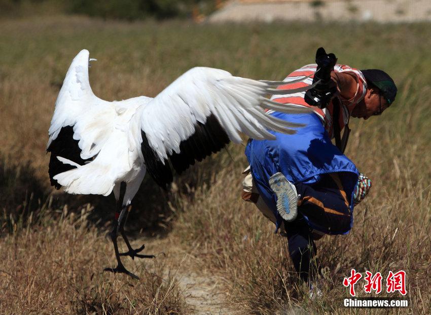 ������v�ͤ����b�j�w ���ʰkĪ�I��Ϯe