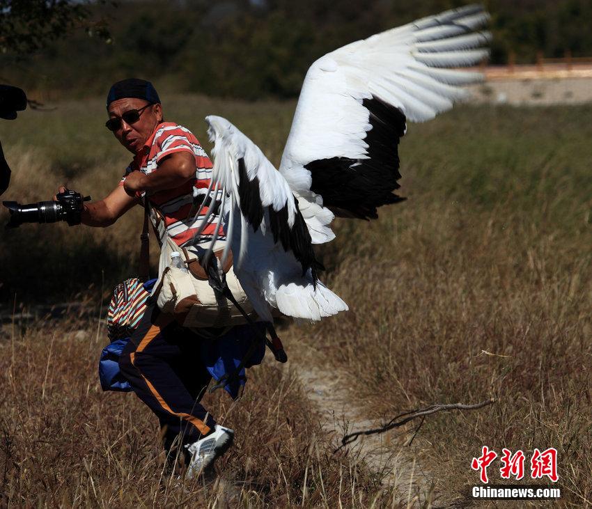 ������v�ͤ����b�j�w ���ʰkĪ�I��Ϯe