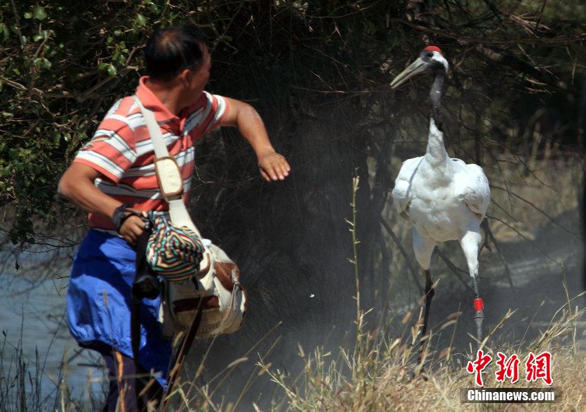 ������v�ͤ����b�j�w ���ʰkĪ�I��Ϯe