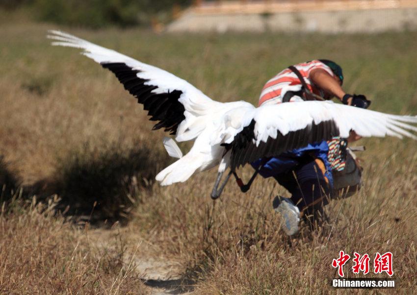 ������v�ͤ����b�j�w ���ʰkĪ�I��Ϯe