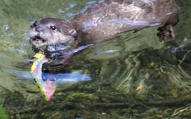 ����iPhone��Z�b�ĕV�p���ޕV��þ��E����