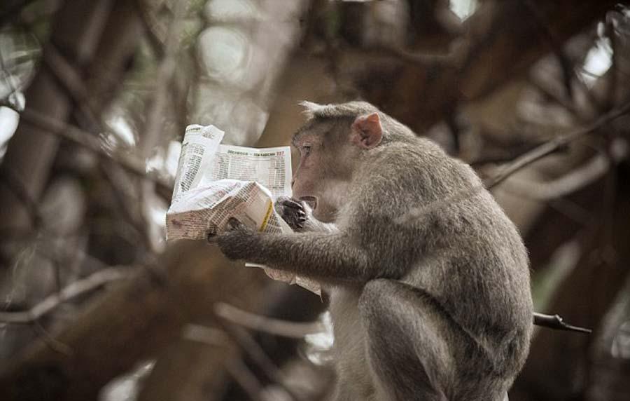 y@pf c˷sO y@pf c˷sO