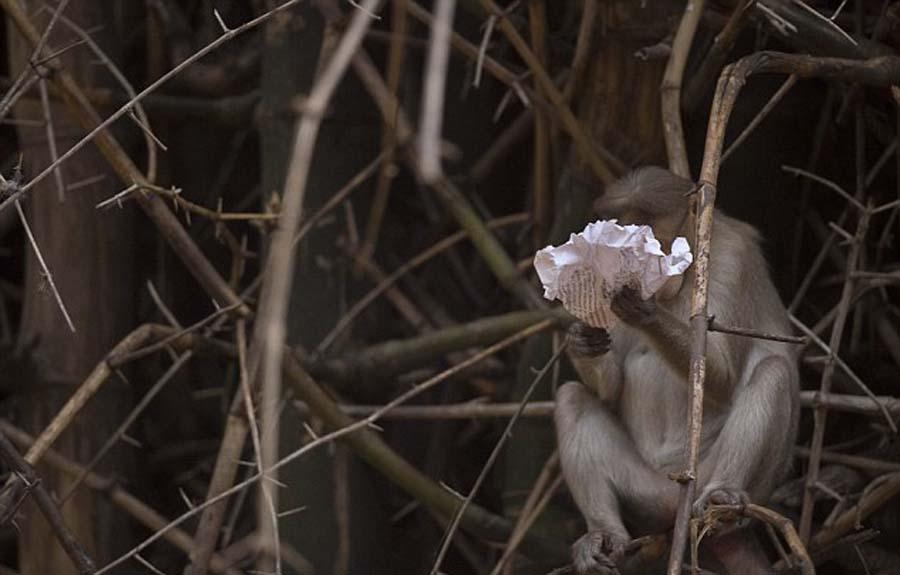 y@pf c˷sO y@pf c˷sO