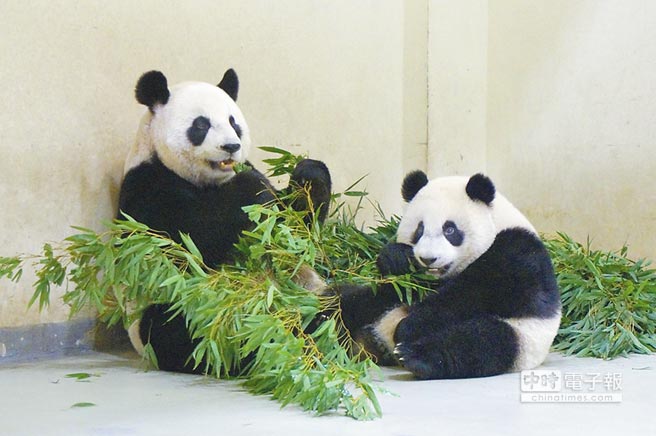 ���n�ʣf�ƕs�ӡL���y�D���@�u �Y�@�Y���y���ʐ�