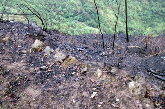 ����������5���ڒ�W�Ѩ��}��K�J����ʐ�