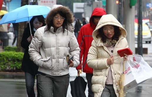 ���W�͓z�l�����s�H�y�ޔ���ب�10�������I�Хʐ�