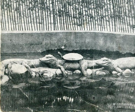 �e�e�哥���J�Z���M�O�~�k���~ �F���N�U�H�˰ب�(��)