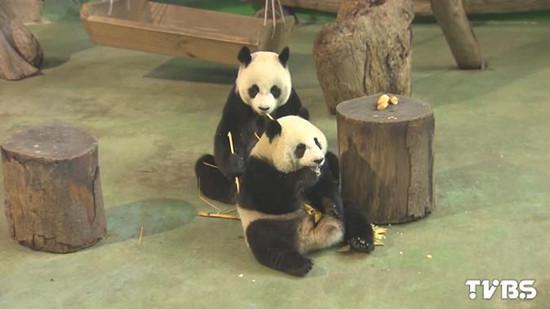 �����@�ʥ͒ʭL �e������L�������n����(��)