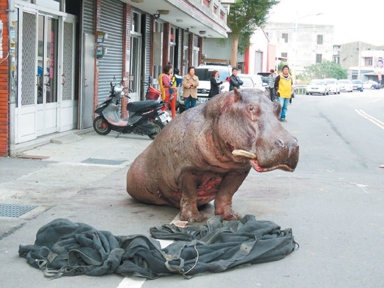 ��޼���e�J�L���e���s���d�o���̓|�o�Đ޹��e�j�Y�աg�K�o�޵j�ءt��