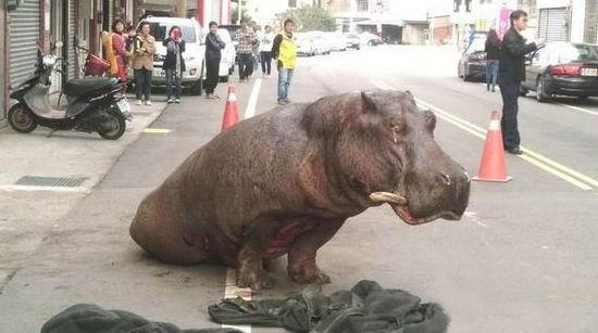 �e�J�q���o�����e�@�\�� �����j�ڬy�y�(��)