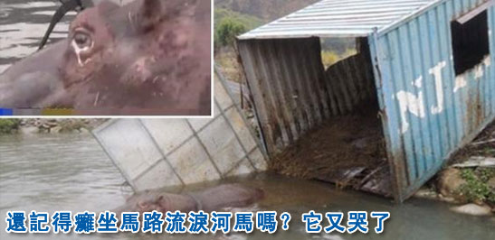 ���W�e�J���o����A��[�L�����(��)