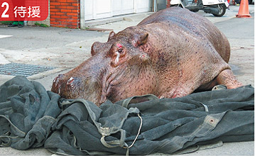 �V�X�y�ݡ�V�� ���W���o�L�ݬy濪e�J�j��(��)