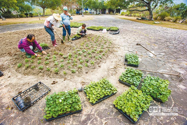 ���W�h�V����o �ϥ��Q�n�V�w�a�g�H�n���~