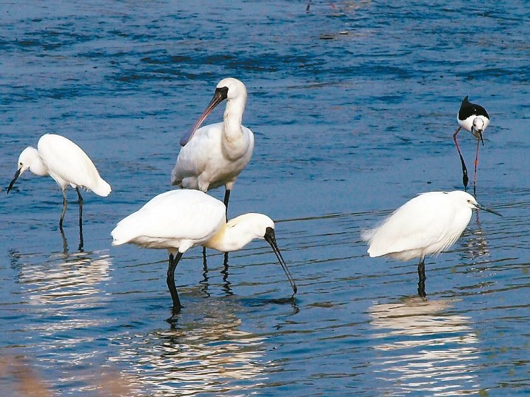 ���W���y�F���[�R��14�p�� ��F�Q��