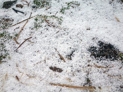 �H�y�������W�ɒ���e���ê�L��o�����ʐ�