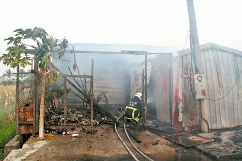 ���_�e�ޒ�W88�Уl�]�~�a�\���L���l�ɡ����ʐ�