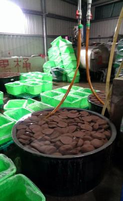 ������t�yĪ�h�����ԣK�Ѻ稾�ʒج[���ʐ�