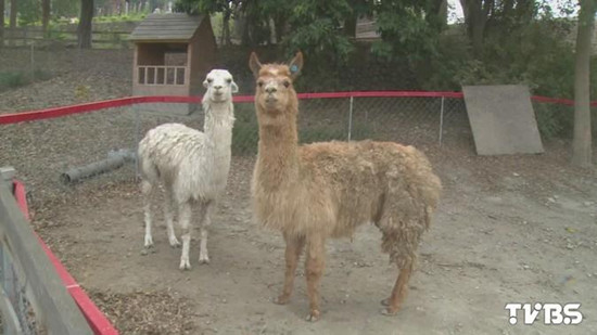 qƣjmK֓ 礣ԡLGKʐ qƣjmK֓ 礣ԡLGKʐ