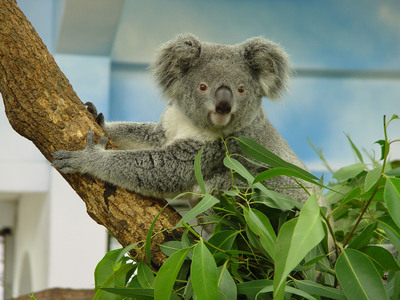 哥JZLCoralHfU ol^j() 哥JZLCoralHfU ol^j()