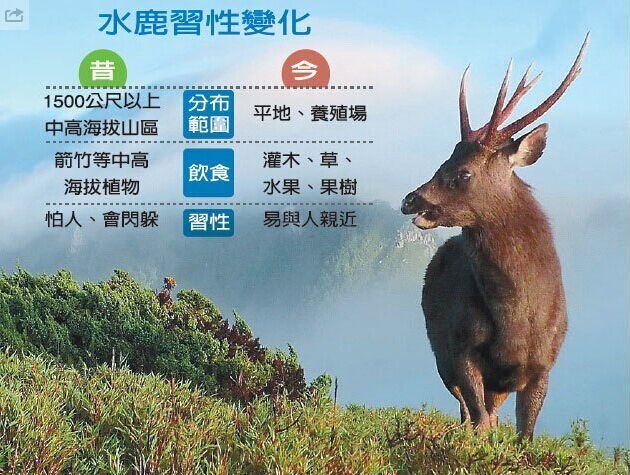 ���W�I���Y��V�I��ڧ ���ݽ��ļZ�v�s���ʐ�