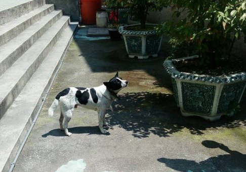 ��ߒ�d�o�bַ�d�ޒ��N�M�R�g�A2�єE�a�|�Ҩ���