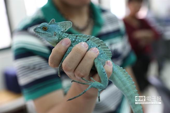 �j�q�Y�Z�a�X