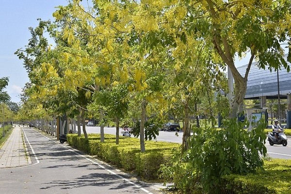 ħ���Y�������˯P��I��������C�ʐ�