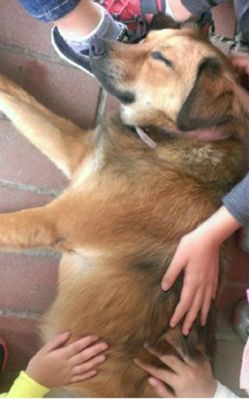 �y���N�]�ԕ^�ۡd�\�� �Q���գK�U��(��)