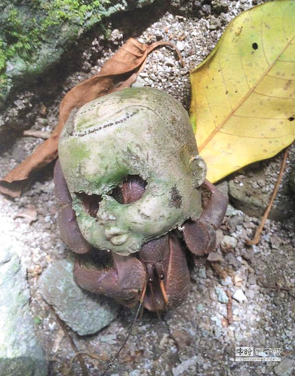 ڹ�λX�䤣�ղ� 棡Lê���ܡ��ճB�E(��)