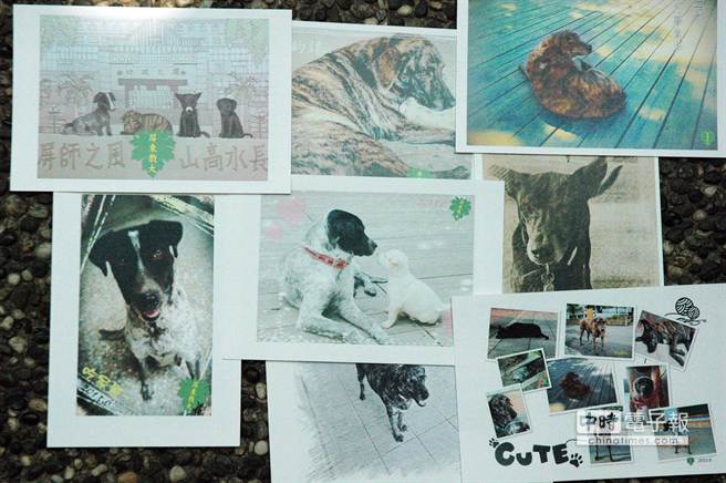 ����F���\�����|�H�N�N�Rá�[ �n���N�I�����S�H��