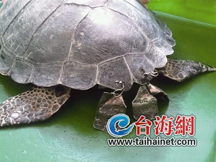 �p�����pŦ�P��I�� �ެ����W�_�|�F�Y(��)