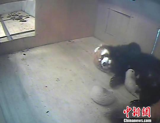 ���J������]�ظ������Z�M�L �L�Q�����e��f(��)